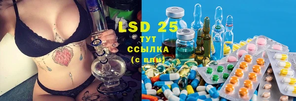 крисы Армянск